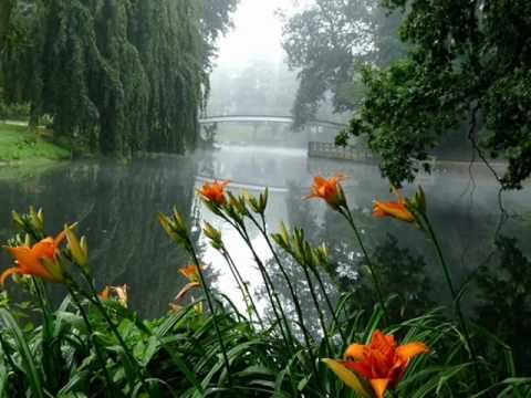 Gospod govori coveku