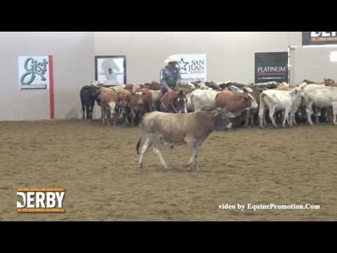 Smooth N Cash ridden by Jake D. Gorrell  - 2016 NRCHA Derby (Herd Work - Bridle Spec, Open)