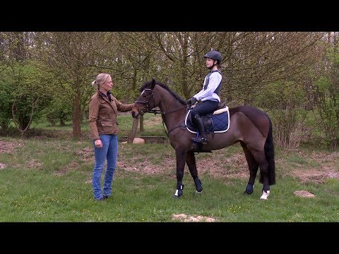 Vielseitige Grundausbildung - Geländereiten: Ausrüstung Pferd