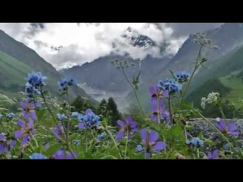 Мирослав Скорик -  Мелодія