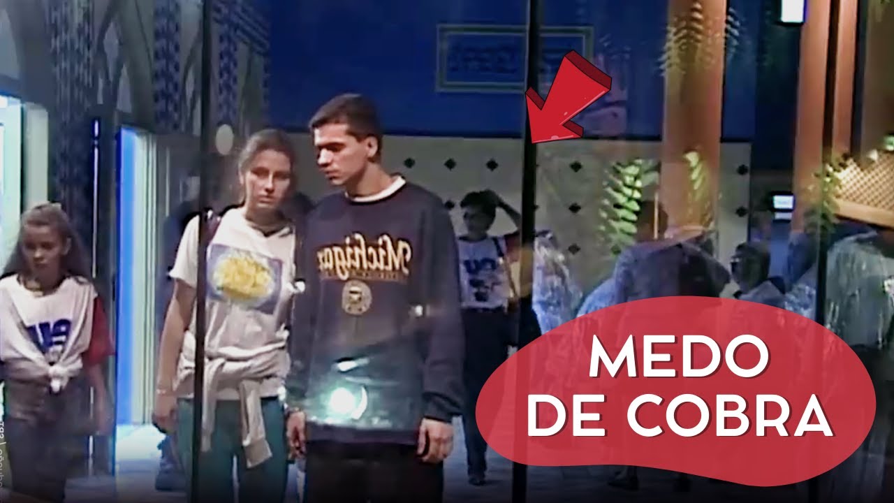 A COBRA FUGIU E CAIU DO TETO | CÂMERAS ESCONDIDAS