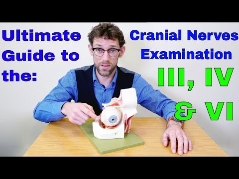 Cranial Nerves III, IV & VI Explained - What do they do and how to examine them - Dr James Gill