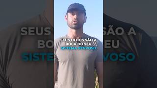 Porque seus olhos são uma extensão do seu cérebro