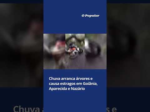 Chuva arranca árvores e causa estragos em Goiânia, Aparecida e Nazário