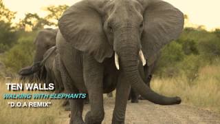Ten Walls - Walking With Elephants [D.O.A Remix]