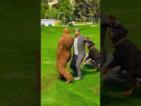 GTA V : Dogs teaches us love in its purest form | Part 133 | #shorts #youtubeshorts