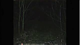 Cover art for midnight wonder