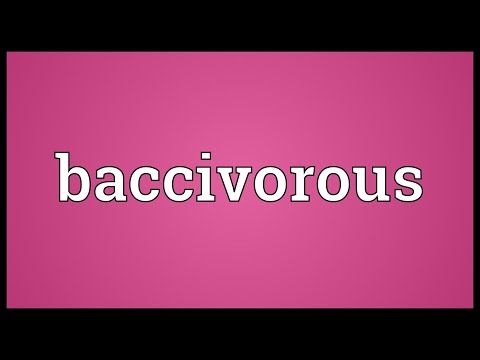 Baccivorous Meaning