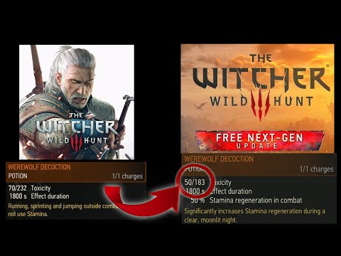 Witcher 3 Next Gen Update: Decoction Changes!