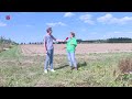 Lelystadse boeren organiseren oogstdag