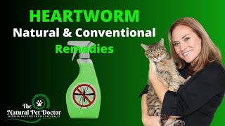Heartworm Disease (Natural & Conventional Remedies) with Dr. Katie Woodley - The Natural Pet Doctor