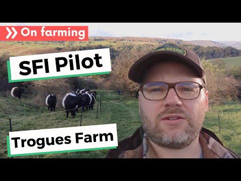 SFI pilot video diary - hear from Michael Orchard from Trogues Farm