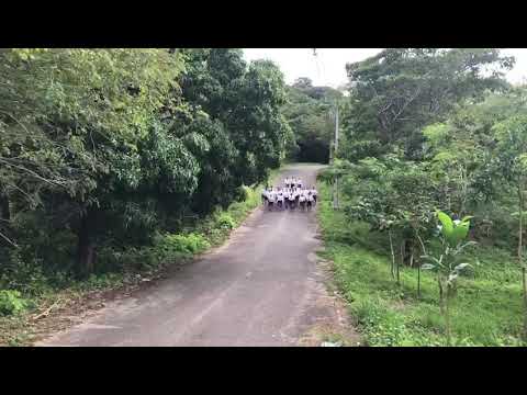 #CFSD PMSE 2019/2020 TFM 3 PEL VIBRANDO