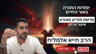 הרב חייא אלמליח פרשת השבוע תזריע מצורע שיעור מרתק על האור החיים | 🔴 שידור חי (הרב מיכאל לסרי) - התמונה מוצגת ישירות מתוך אתר האינטרנט יוטיוב. זכויות היוצרים בתמונה שייכות ליוצרה. קישור קרדיט למקור התוכן נמצא בתוך דף הסרטון