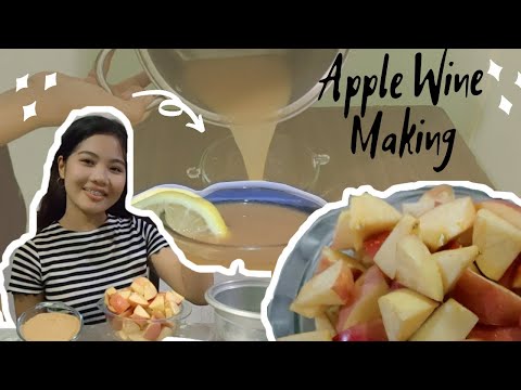 Fermentação de Vinho de Maçã | DIANA MAE P
