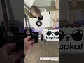 Cards Against Humanity