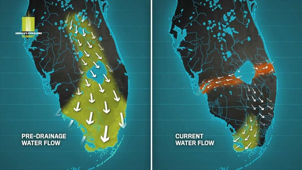 What Happened to the Everglades?
