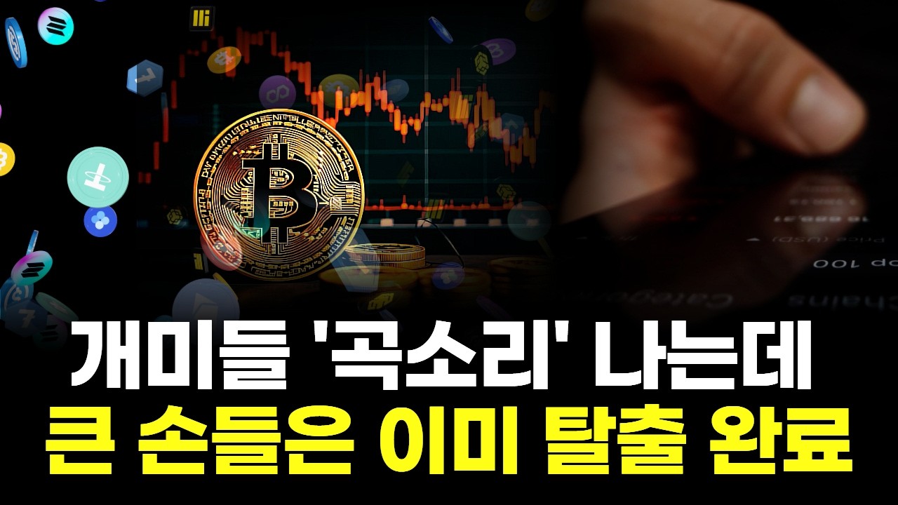 개미들 ‘곡소리' 나는데 큰 손들은 이미 탈출 완료