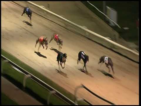 2017 CORAL OLYMPIC - HEAT 4 - T6 CALICO RANGER