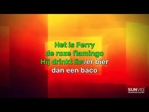 Barry Fest & Tim Schalkx  -  Ferry De Roze Flamingo - #karaoke #karaokeversion #karaokesongs
