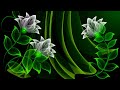 Jonson - A.r.p.p.l.a.y.i.n