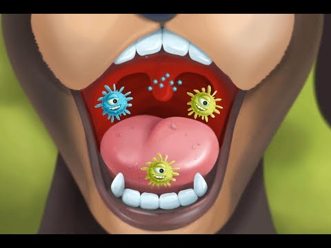 Fun Animal Care Kids Game - Farm Animal Hospital 3 - Play Fun Pet Care & Makeover Games By TutoTOONS