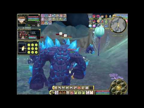 Insanity Flyff Cove Run