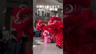 【台湾/1番かわいいピンク獅子舞】色も小ささも台湾で1番可愛い!! #台灣台北 #台灣台北