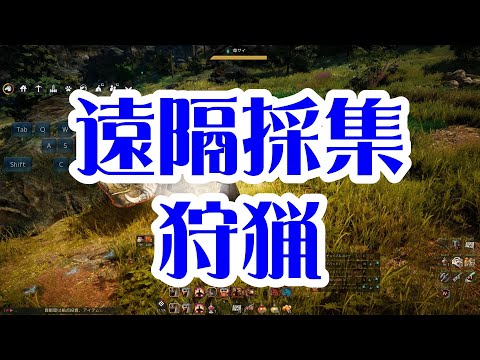 黒い砂漠 ゴロシュラー砂馬車 未実装 Przと書いてダレンと解く 黒い砂漠 ゴロシュラー砂馬車 未実装 Przと書いてダレンと解く