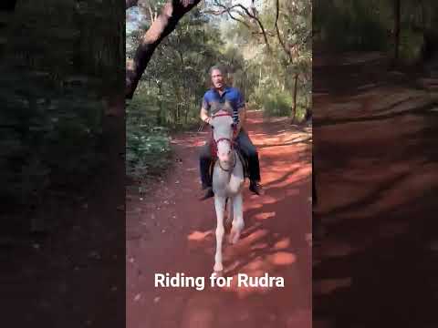 Sandip V Pednekar Horse Riding