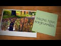 Mazha Njan Arinjirunnilla Beautiful Romantic Love Song Status