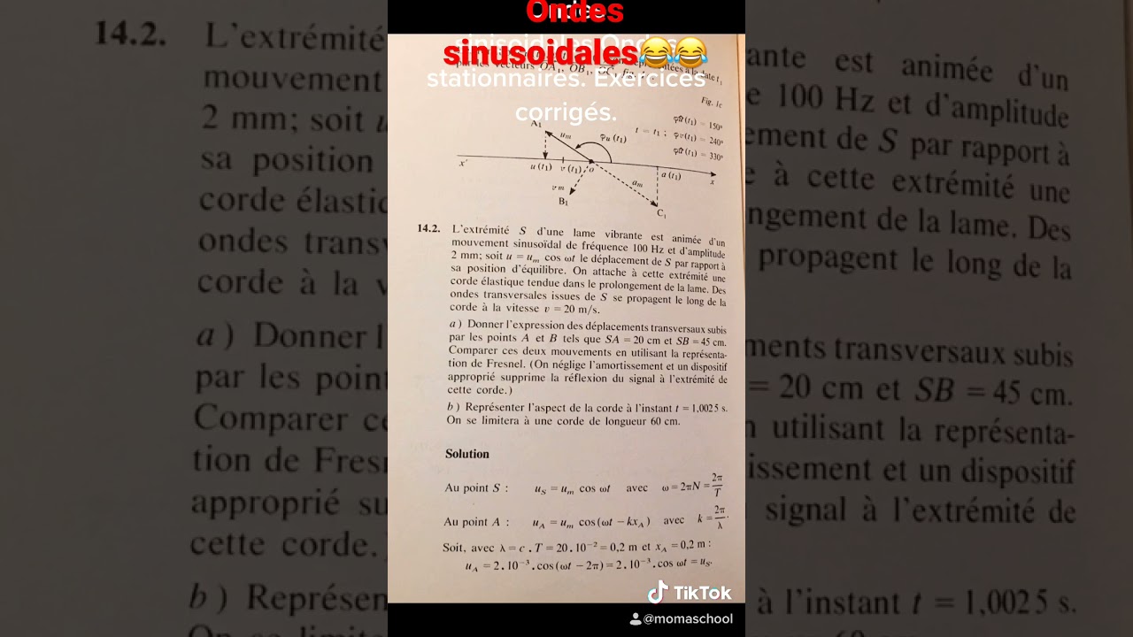 Ondes sinusoïdales .Ondes stationnaires😂❤️physique Bac 2024- exercices corrigés. Moma