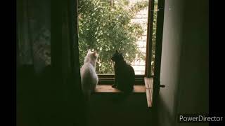 Yeh Saari Baat -Rochak Kohli