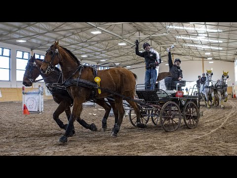 Dvojspřeží (2. kolo), Zimní jezdecký pohár 2022, Slatiňany 12. 2. 2022