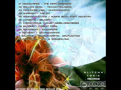 12 Paracozm - Acid in Wonderland