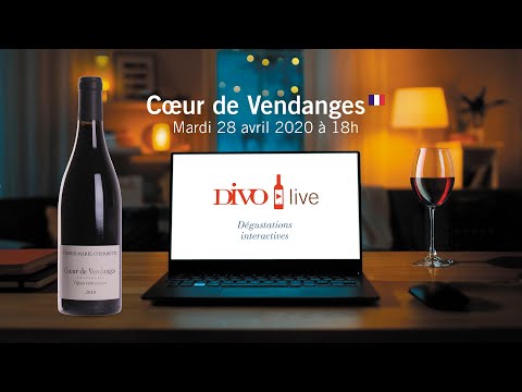 DIVO live n°5 | Cœur de Vendanges 2018, Beaujolais AOC, Domaines Chermette