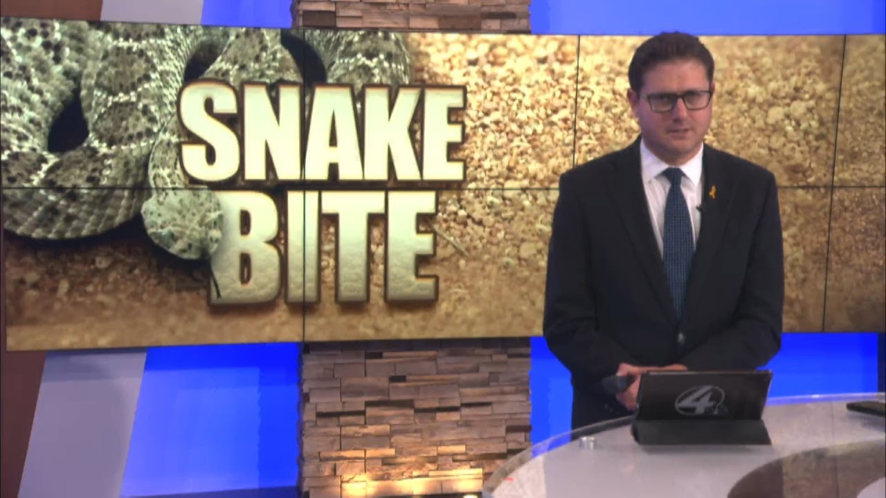 Video thumbnail for Person hospitalized after snakebite