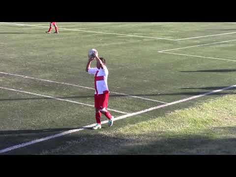 El bajo 2  Bichos 0  semifinales torneo 11 vs 11