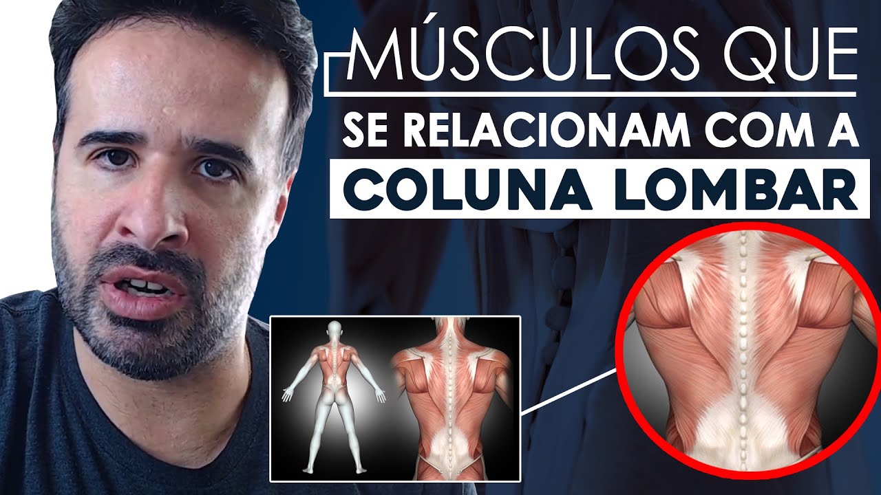 MÚSCULOS QUE SE RELACIONAM COM A COLUNA LOMBAR.