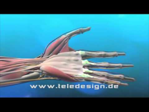 Schmerzen im Gelenk des Daumens Schwangerschaft nach Osteochondrose
