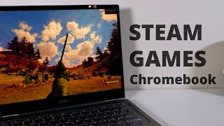 Play Steam Games on Chromebook - 2021
