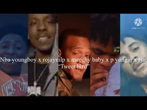 Nba youngboy, rojaymlp, meechy baby, p yungin, rjae - tweet bird (music video)