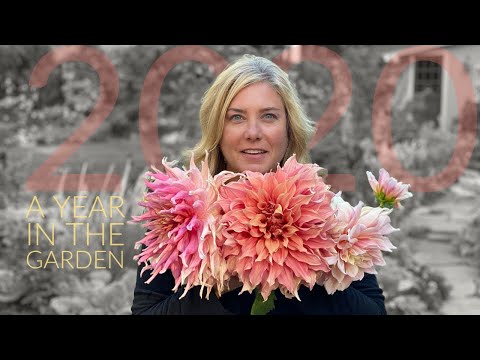 A year in the garden || 2020 ||