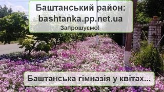 preview picture of video 'Баштанська гімназія у квітах'