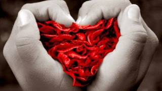 Rita lee Amor e sexo °