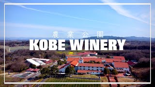 神戸ワイナリー 農業公園 ドローン 空撮 KOBE WINERY Cinematic Video 4K
