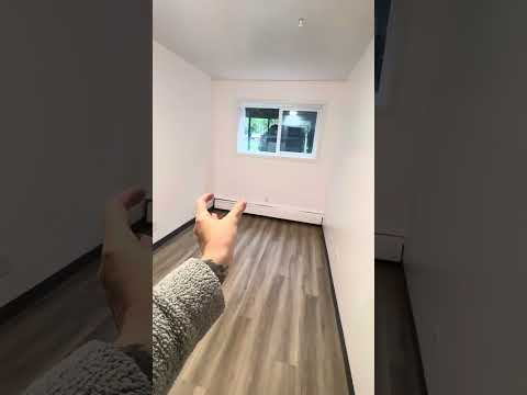 3011 Lois Drive property video