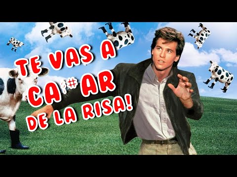 Qué ver en el cine: espías en crisis, comedias funerarias y thrillers de memes asesinos