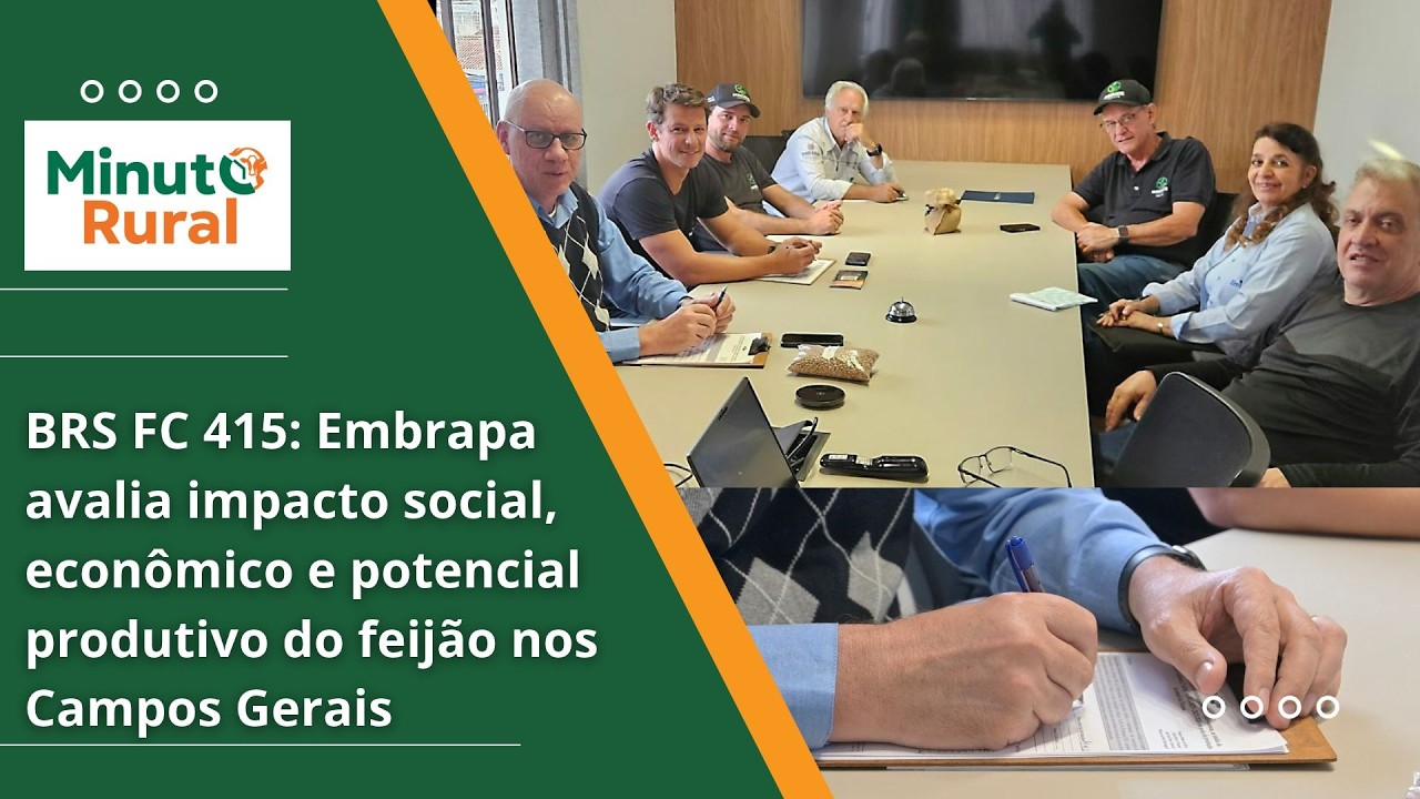 BRS FC415 Embrapa avalia impacto social, econômico e potencial produtivo do feijão nos Campos Gerais