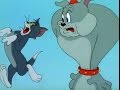 Tom And Jerry Cat Snapping